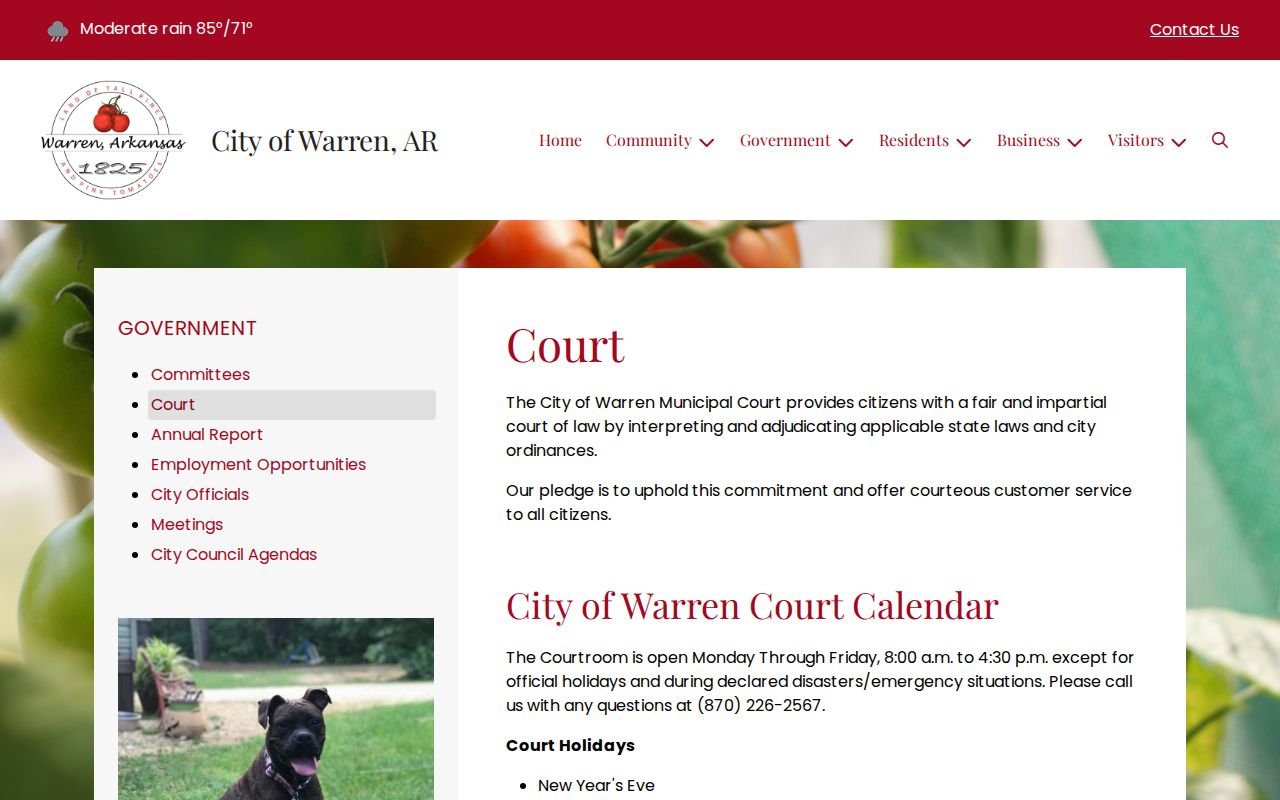 Bradley County criminal court cases Warren District Court page